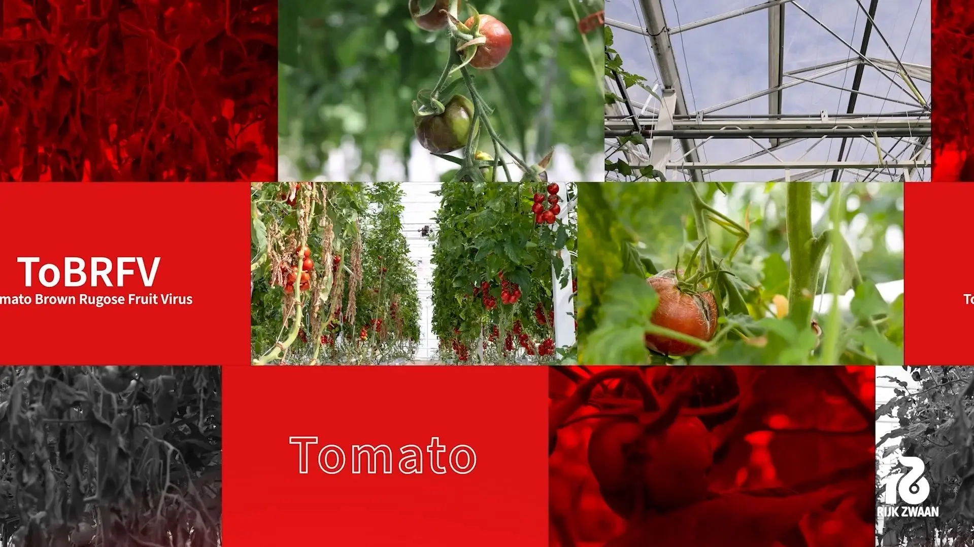 Картинка статьи