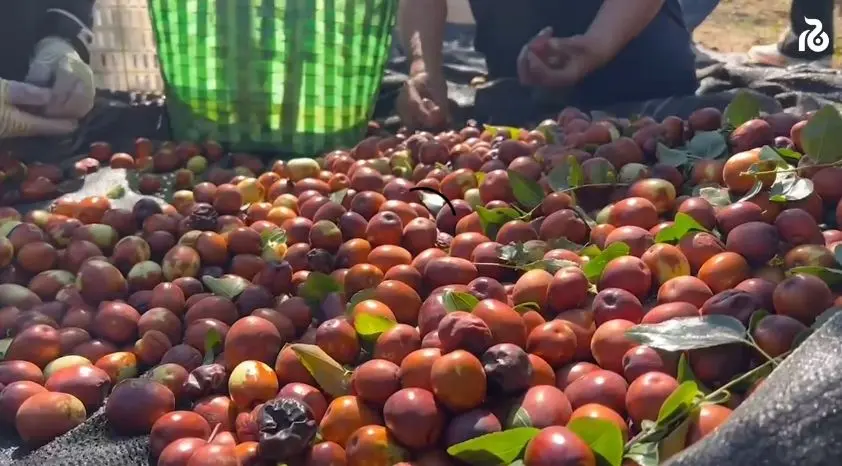 Тут должно быть видео