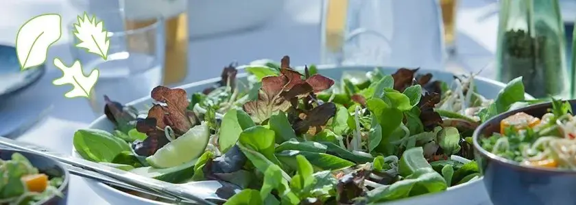 Разнообразие форм, цветов, вкусов и текстур листьев.