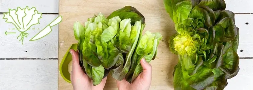 Один срез, и готово