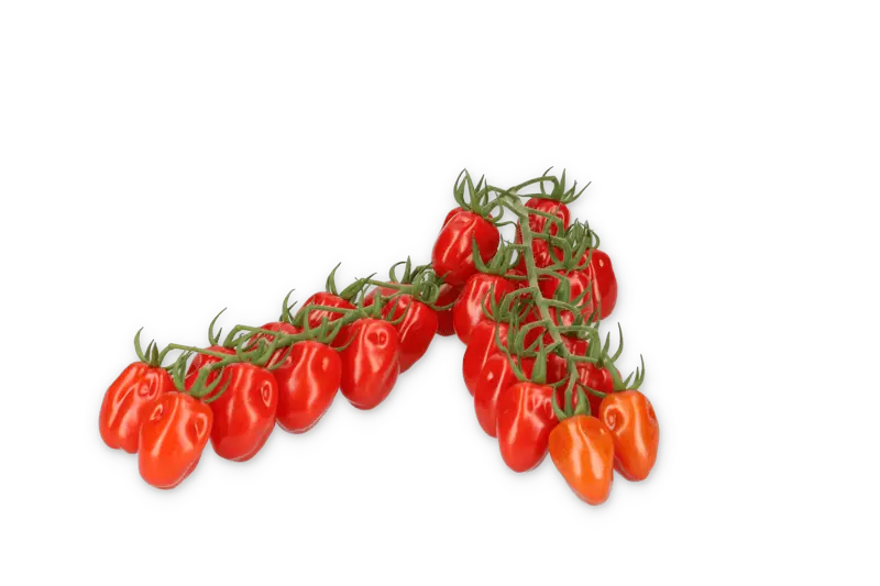 Балдралла F1