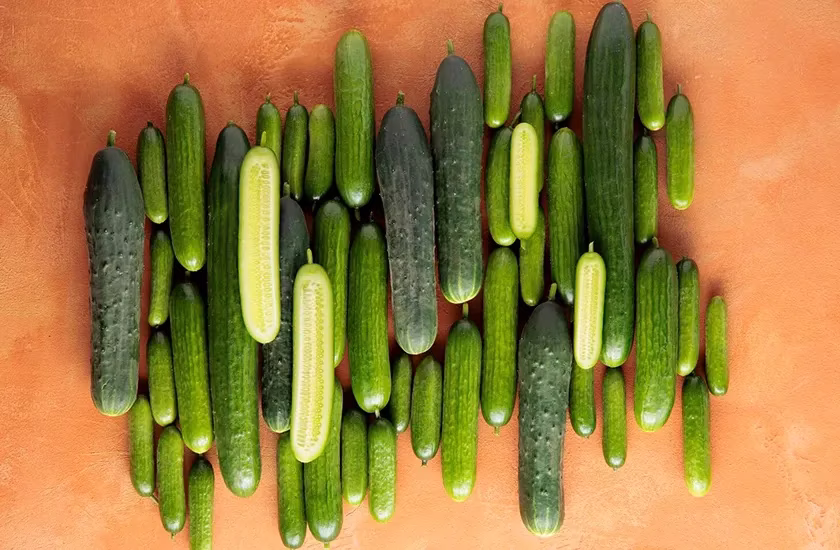 Картинка статьи