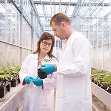 Объединение сильных сторон в области исследований и разработок